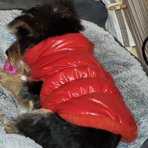 New Red Puffer Dog Jacket Coat Size M | Warm Winter Pet Vest